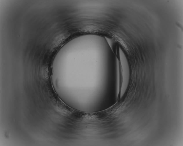 X0000091850403200709191101