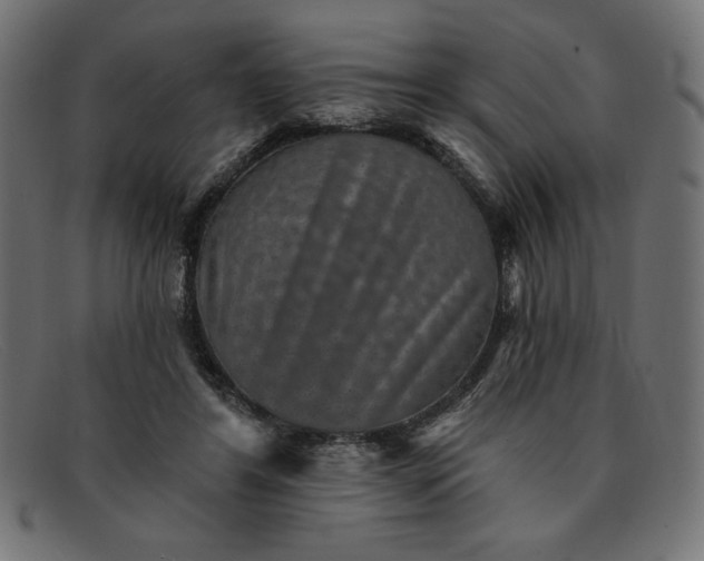 X0000091850404200709191101