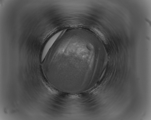 X0000091850405200709191101