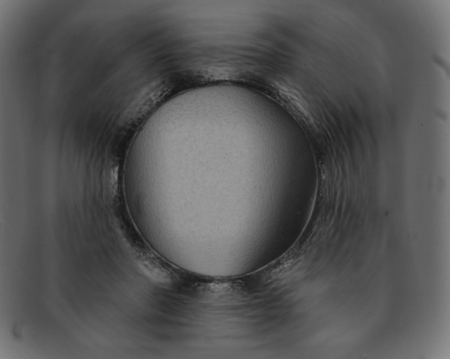 X0000091850406200709191101