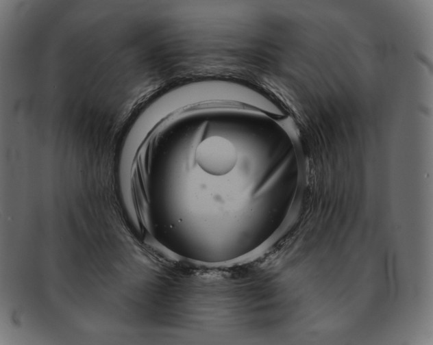 X0000091850407200709191101