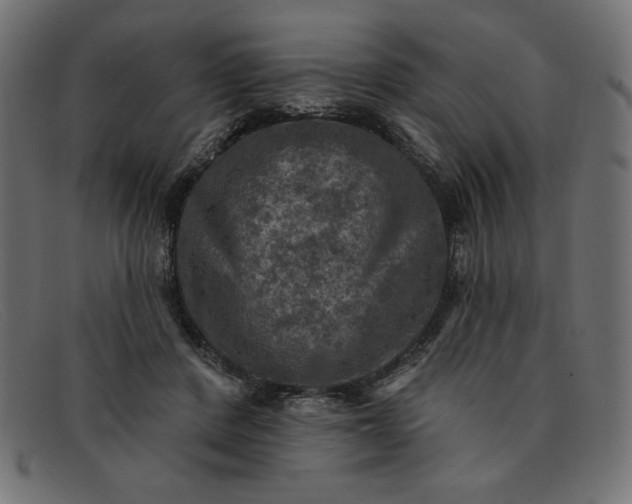 X0000091850408200709191101
