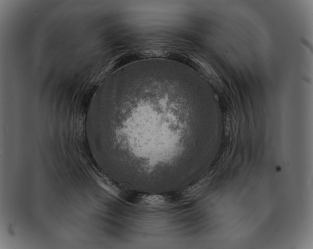 X0000091850409200709191101