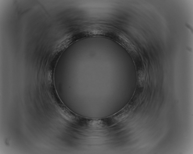 X0000091850410200709191101