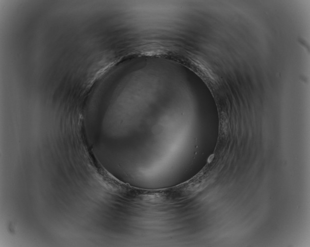 X0000091850411200709191100