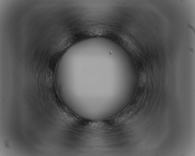 X0000091850414200709191100