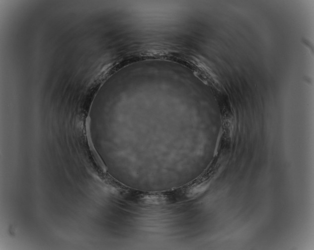 X0000091850415200709191100