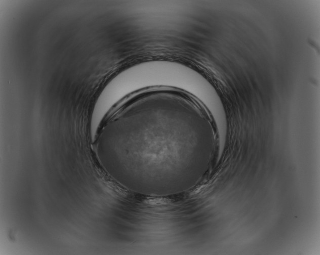 X0000091850417200709191100