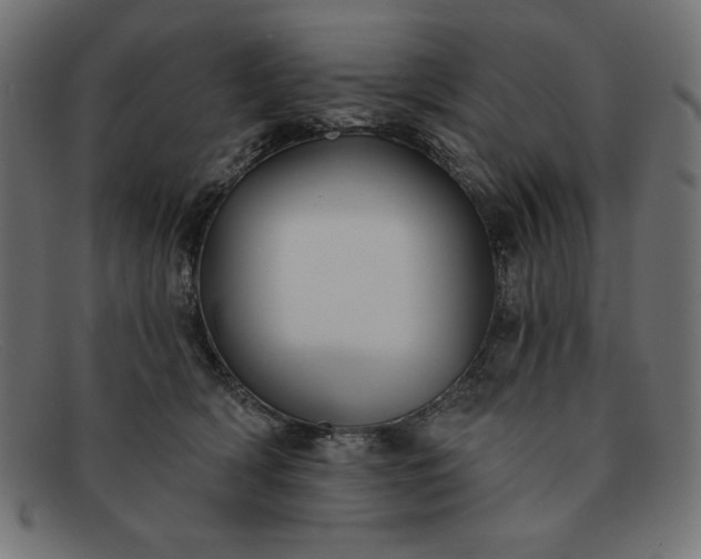 X0000091850418200709191100
