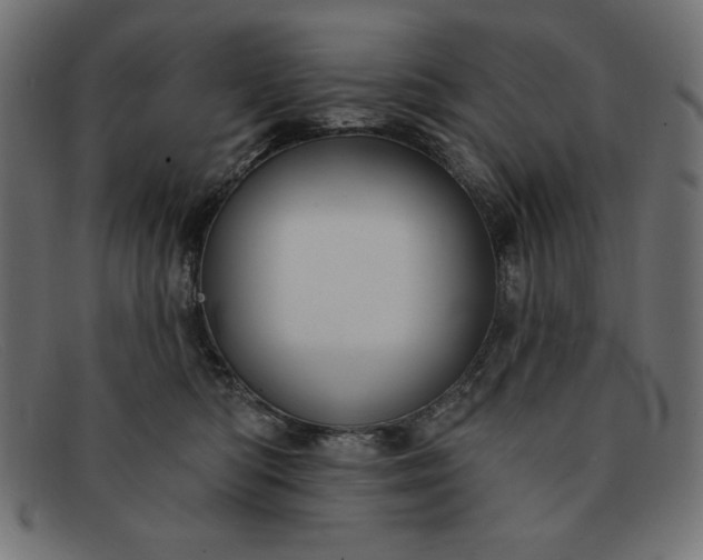 X0000091850422200709191100