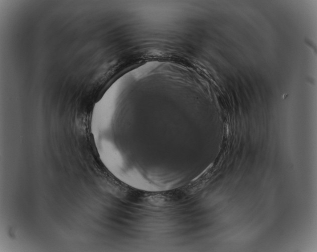 X0000091850423200709191100
