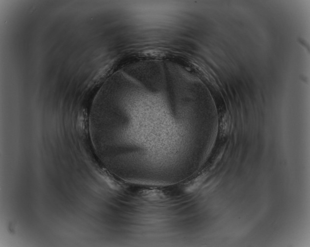 X0000091850424200709191100
