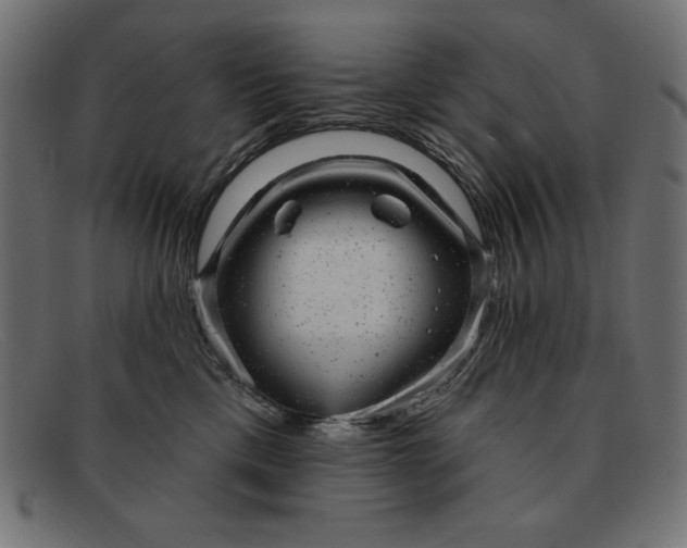 X0000091850425200709191100