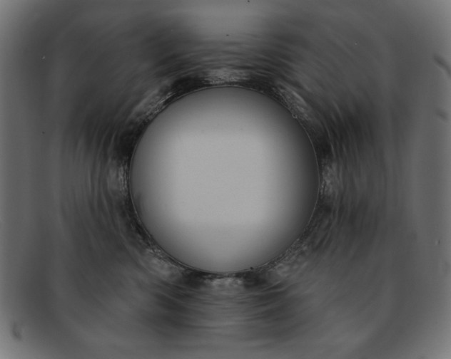 X0000091850426200709191100