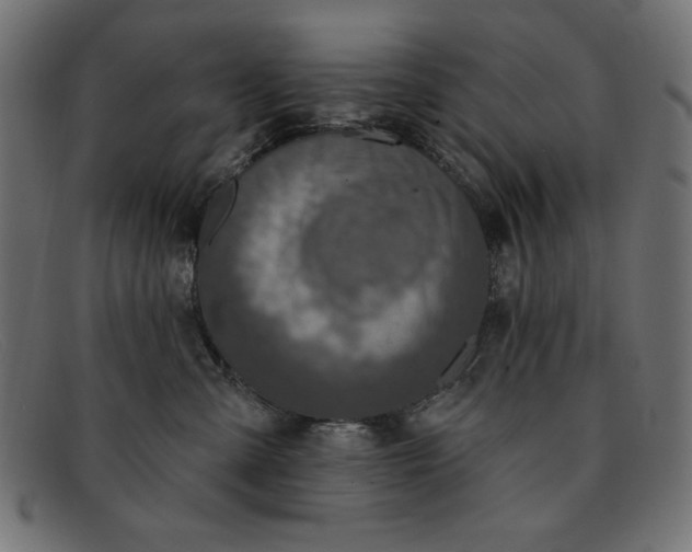 X0000091850427200709191100