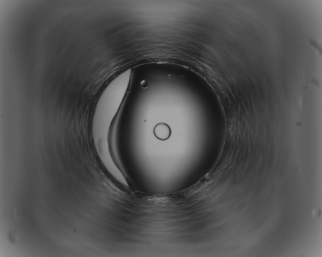 X0000091850428200709191100