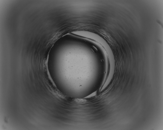X0000091850429200709191100