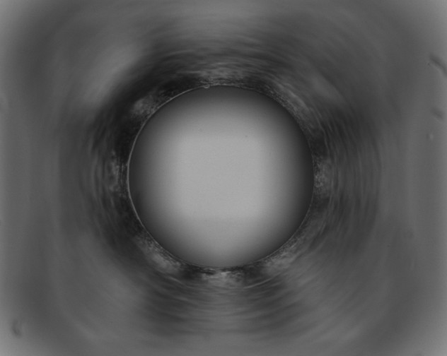 X0000091850430200709191100
