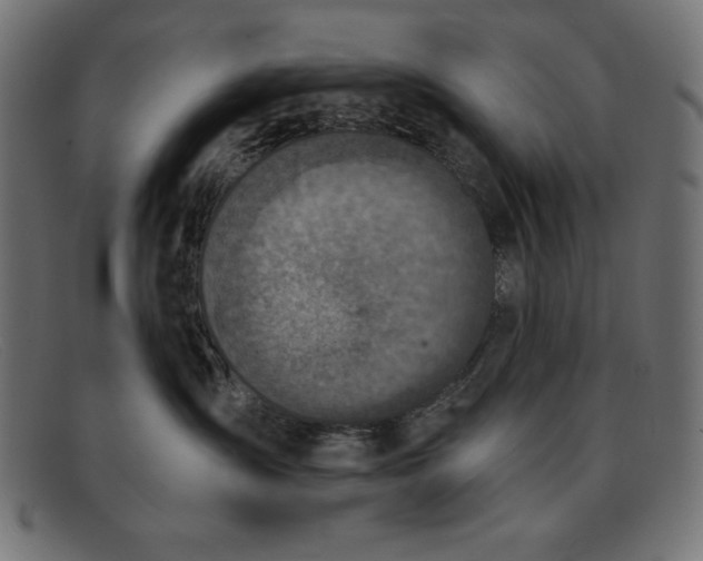 X0000091850431200709191100