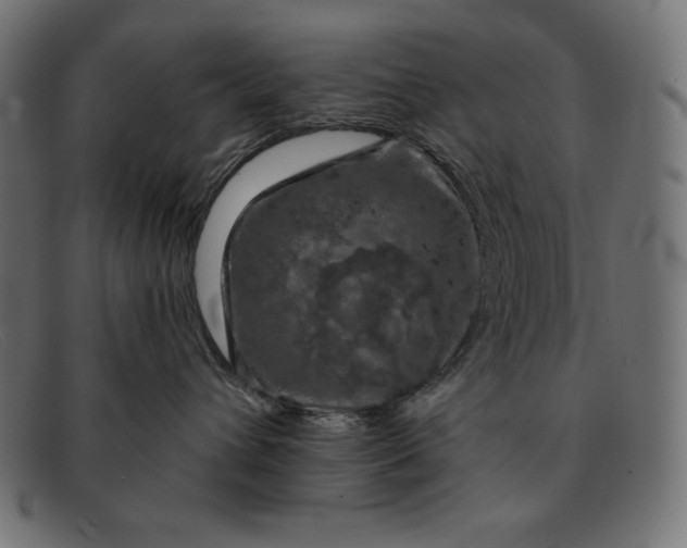 X0000091850432200709191100