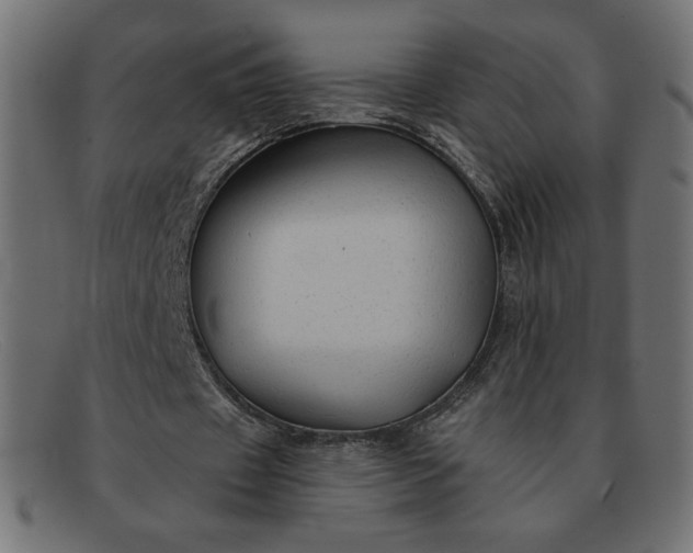 X0000091850433200709191100