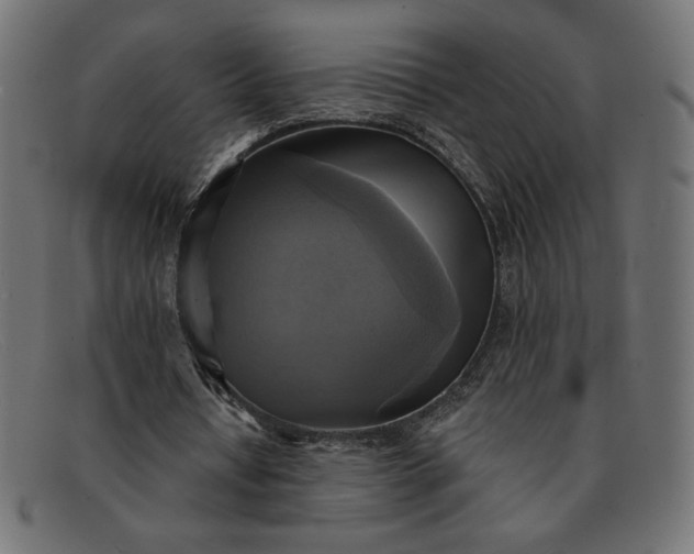 X0000091850434200709191100