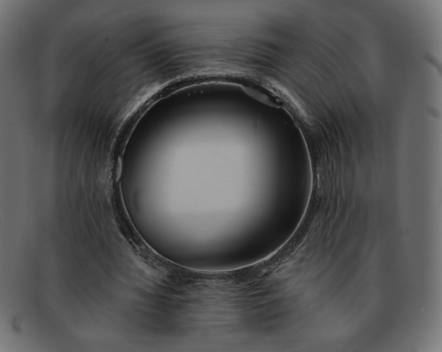 X0000091850436200709191100