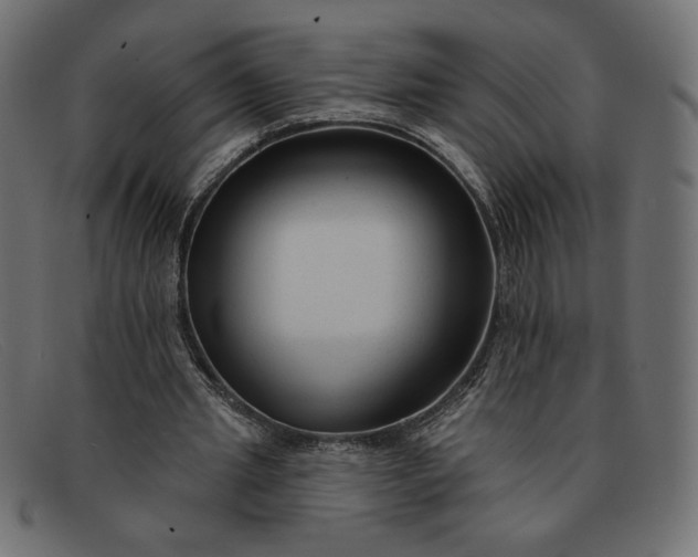 X0000091850437200709191100