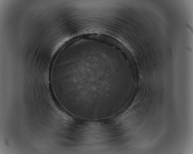 X0000091850438200709191100