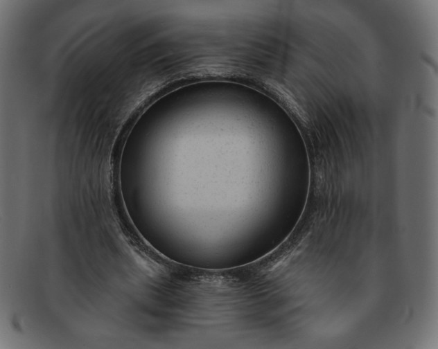 X0000091850439200709191100