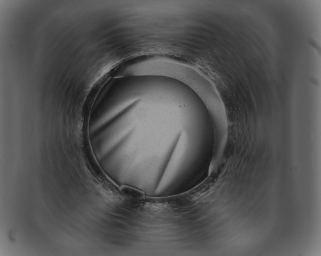 X0000091850440200709191100