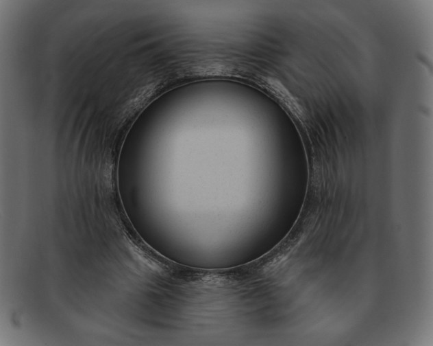X0000091850441200709191100