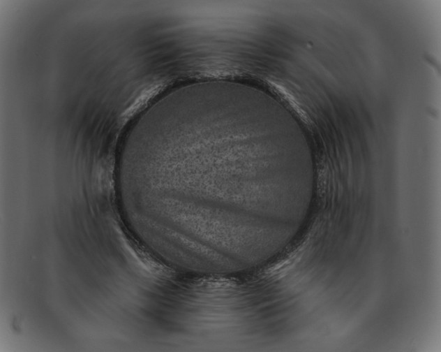 X0000091850443200709191100