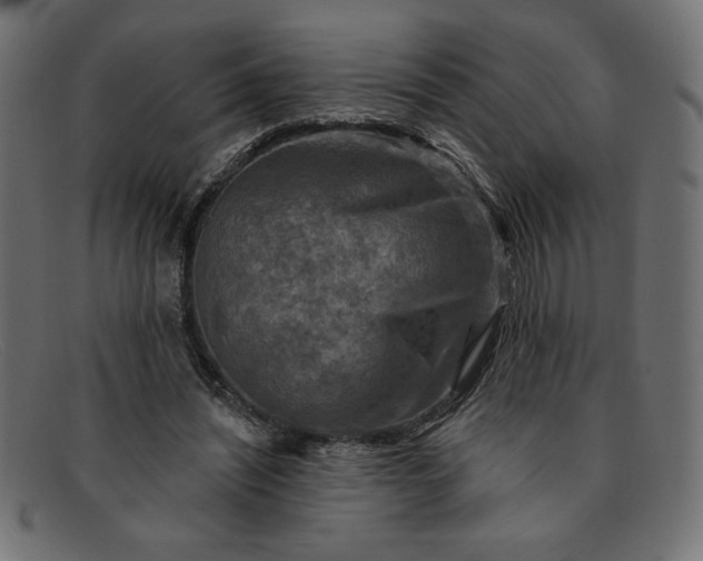 X0000091850444200709191100