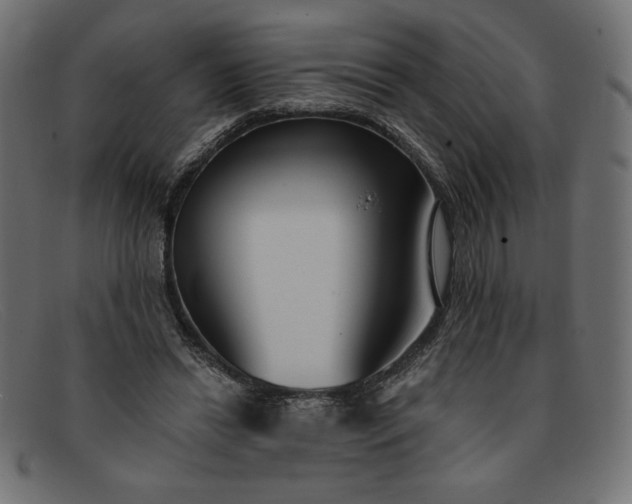 X0000091850446200709191100