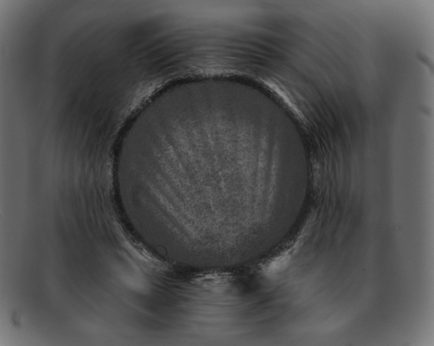 X0000091850447200709191100