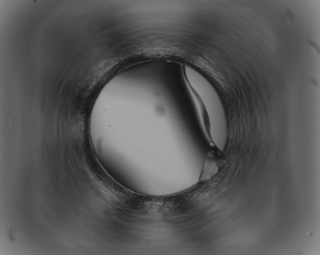 X0000091850448200709191100