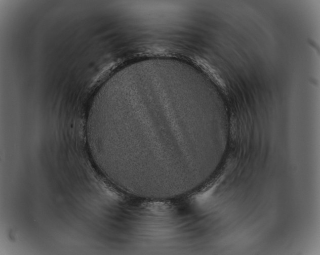 X0000091850449200709191100