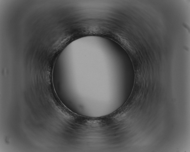 X0000091850450200709191100