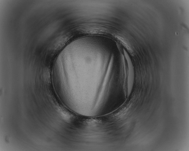 X0000091850453200709191100