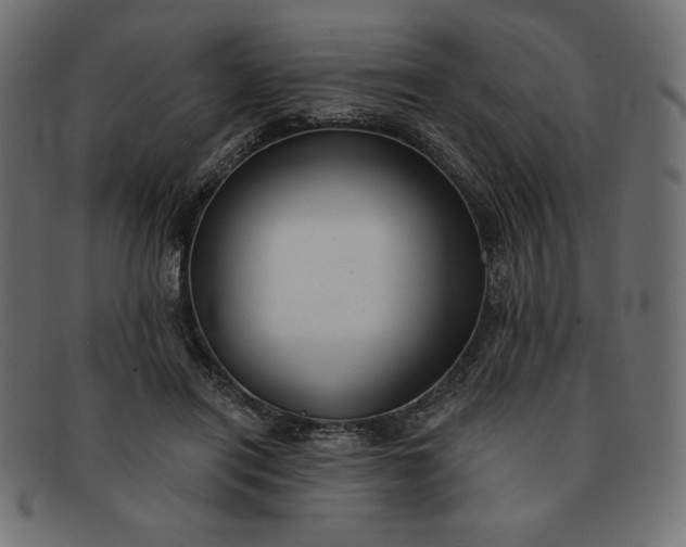 X0000091850454200709191100