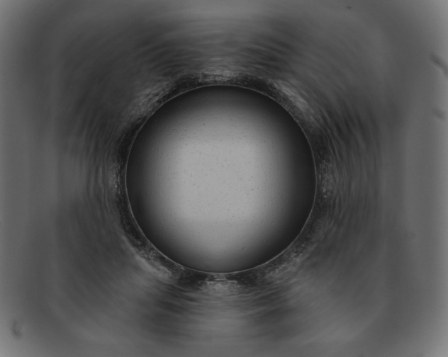 X0000091850455200709191100