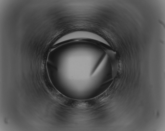 X0000091850456200709191100