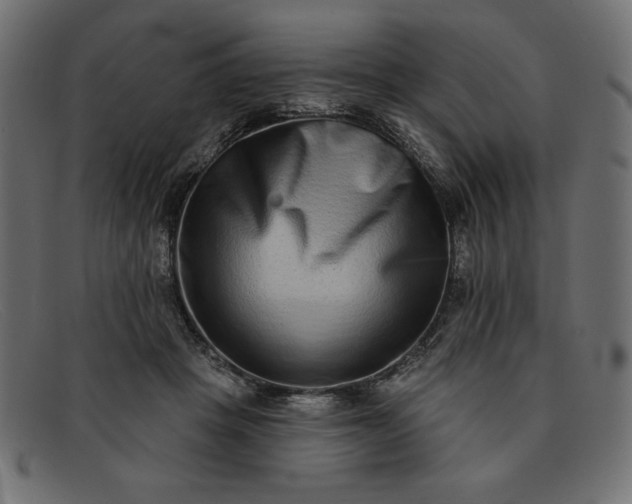 X0000091850457200709191100