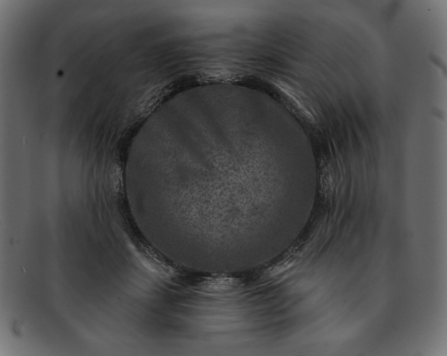 X0000091850459200709191100