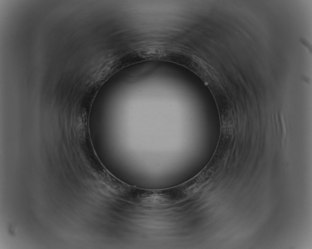 X0000091850460200709191100