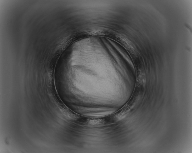X0000091850461200709191100