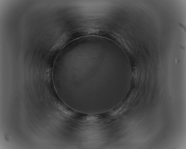 X0000091850462200709191100