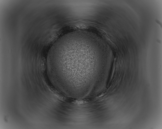 X0000091850464200709191100