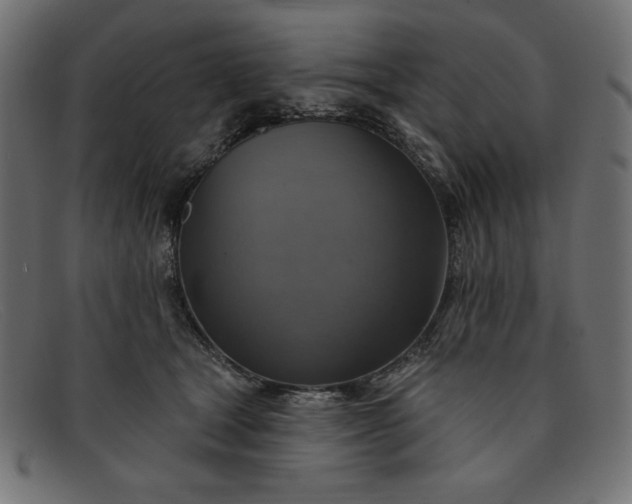 X0000091850465200709191100